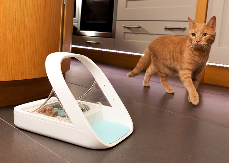 this pet feeder scans your pet to make sure the right pet eats the right food 6439 - SureFeed晶片飼料碗，避免小孩和狗狗跑去偷吃貓飼料！