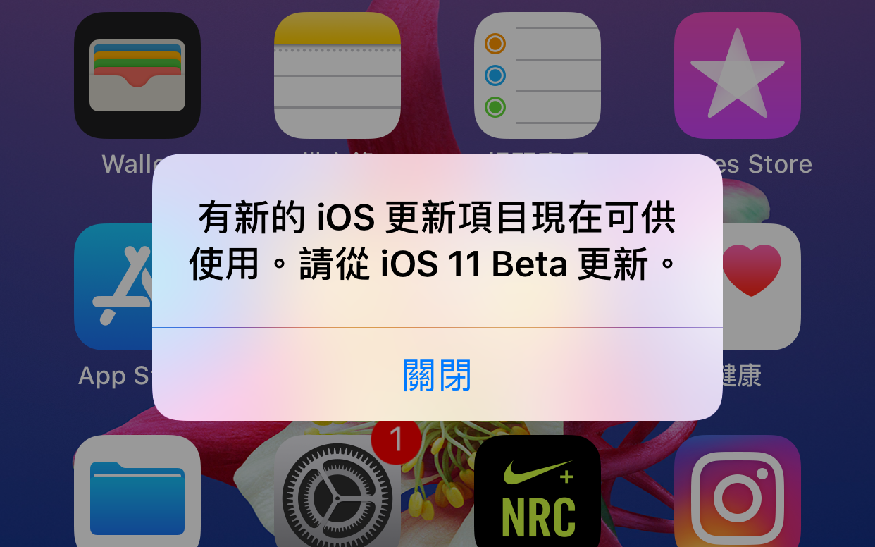「請從iOS 11 Beta更新」是甚麼？