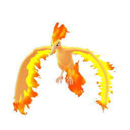 火焰鳥 Pokemon GO