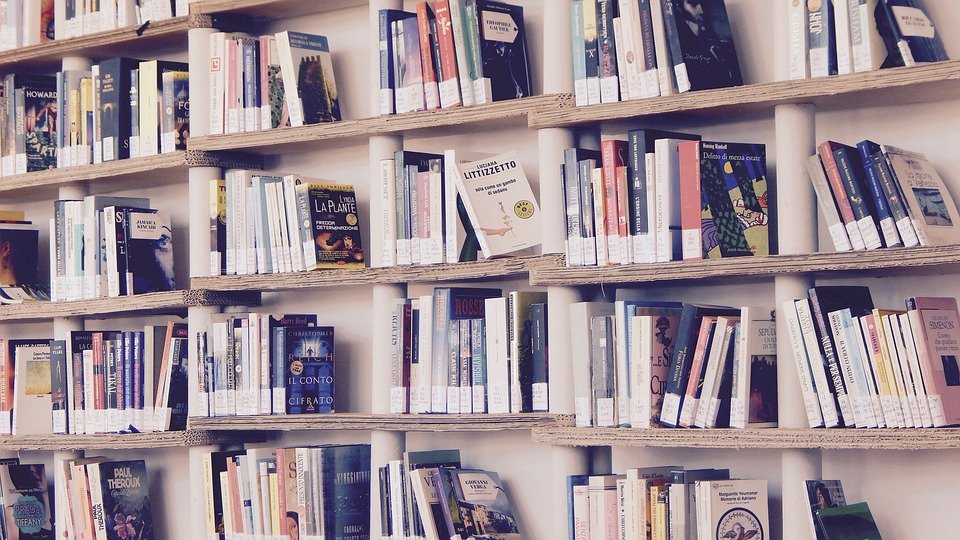 Books, Library, Read, Shelves, Shelf, Reading, Culture