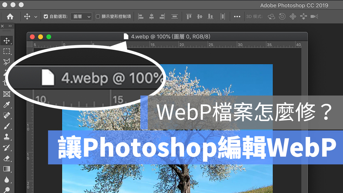 Photoshop WebP 編輯