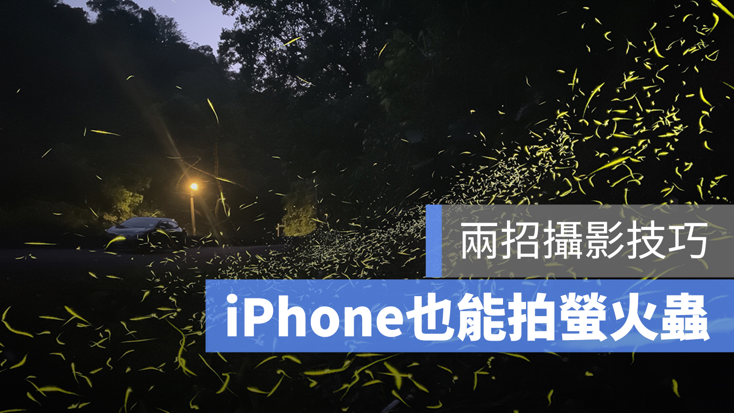 iPhone 拍螢火蟲 夜拍 低光源