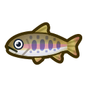 動森-櫻花鉤吻鮭