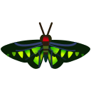 動森-紅頸鳳蝶