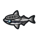 動森-吸盤魚