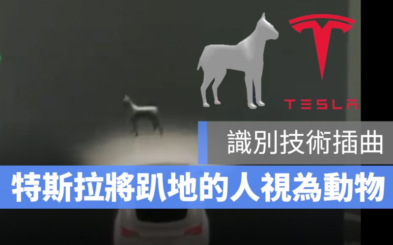 特斯拉 Tesla 動物識別 Autopilot 自動輔助駕駛