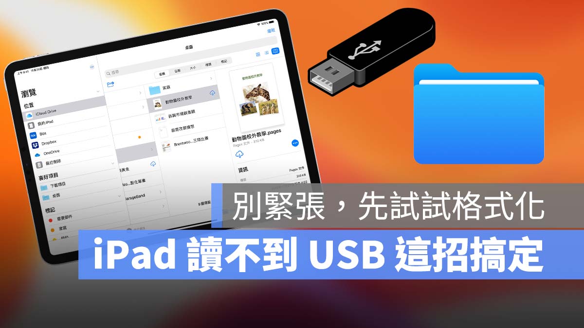 iPad USB