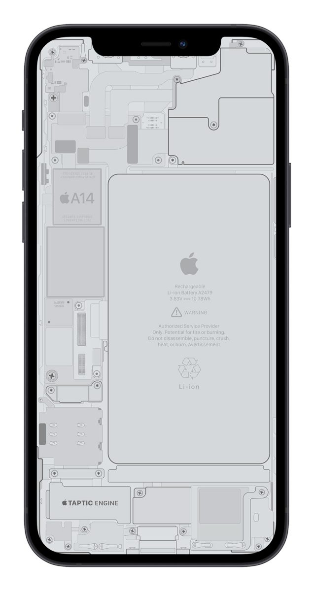 iPhone 12 零件 X 光桌布