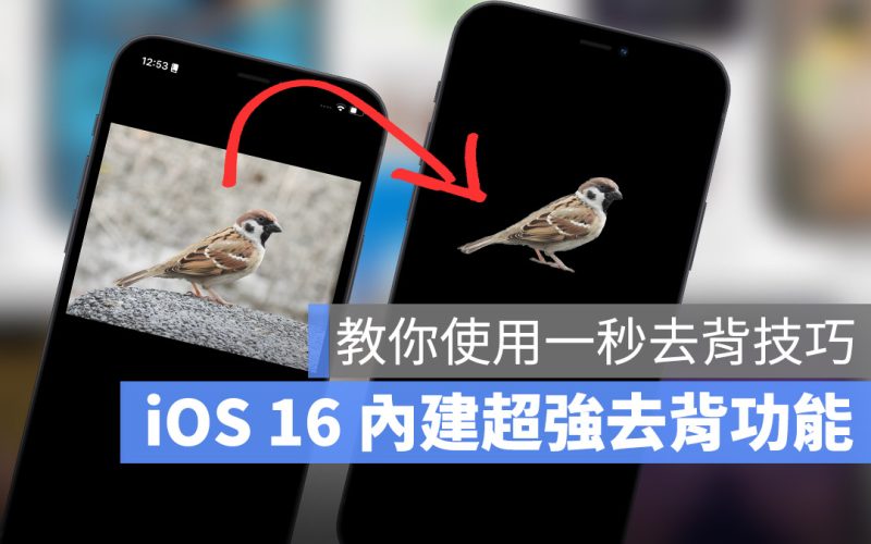 iOS 16 拷貝主體 原況文字 圖像辨識 去背