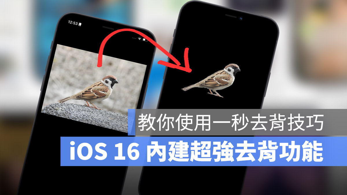 iOS 16 拷貝主體 原況文字 圖像辨識