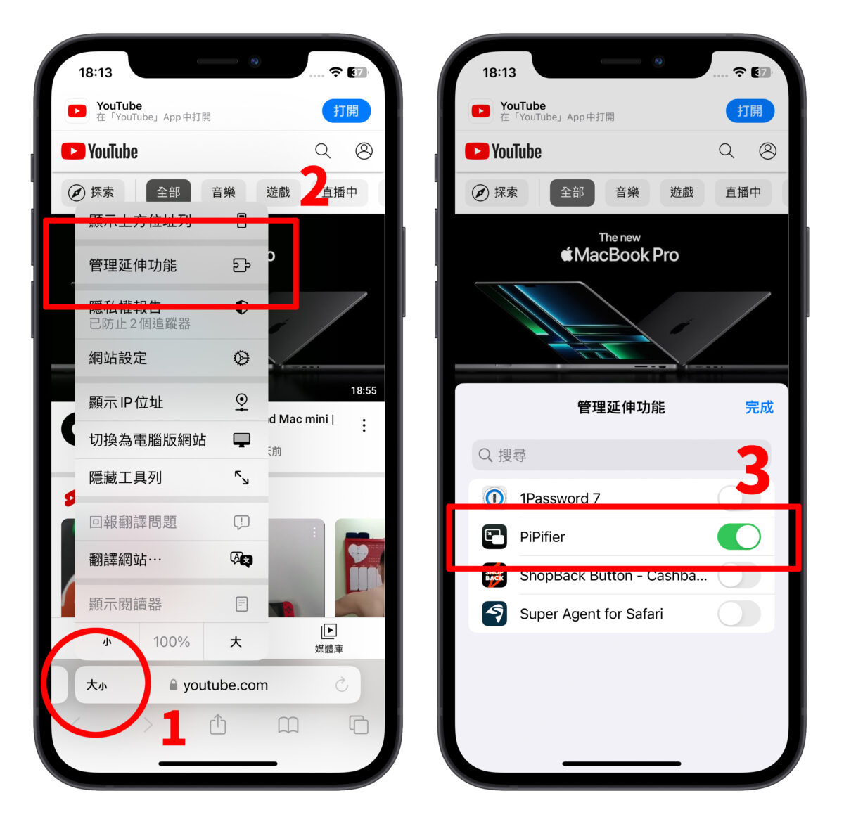 PiPifier iPhone 子母畫面 YouTube