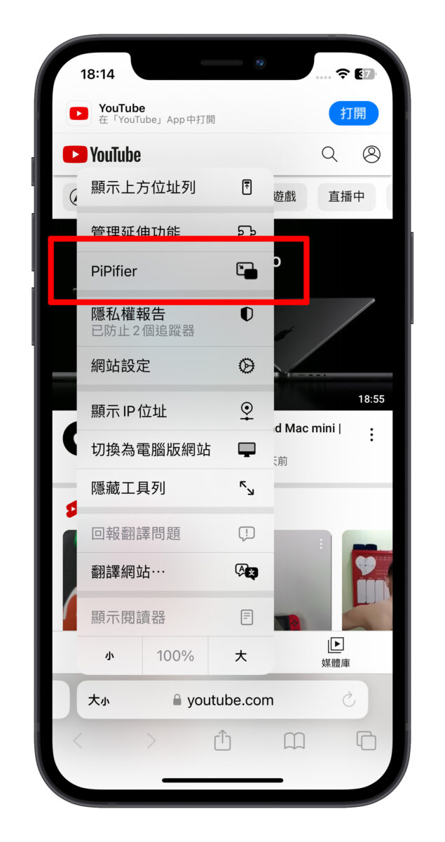 PiPifier iPhone 子母畫面 YouTube