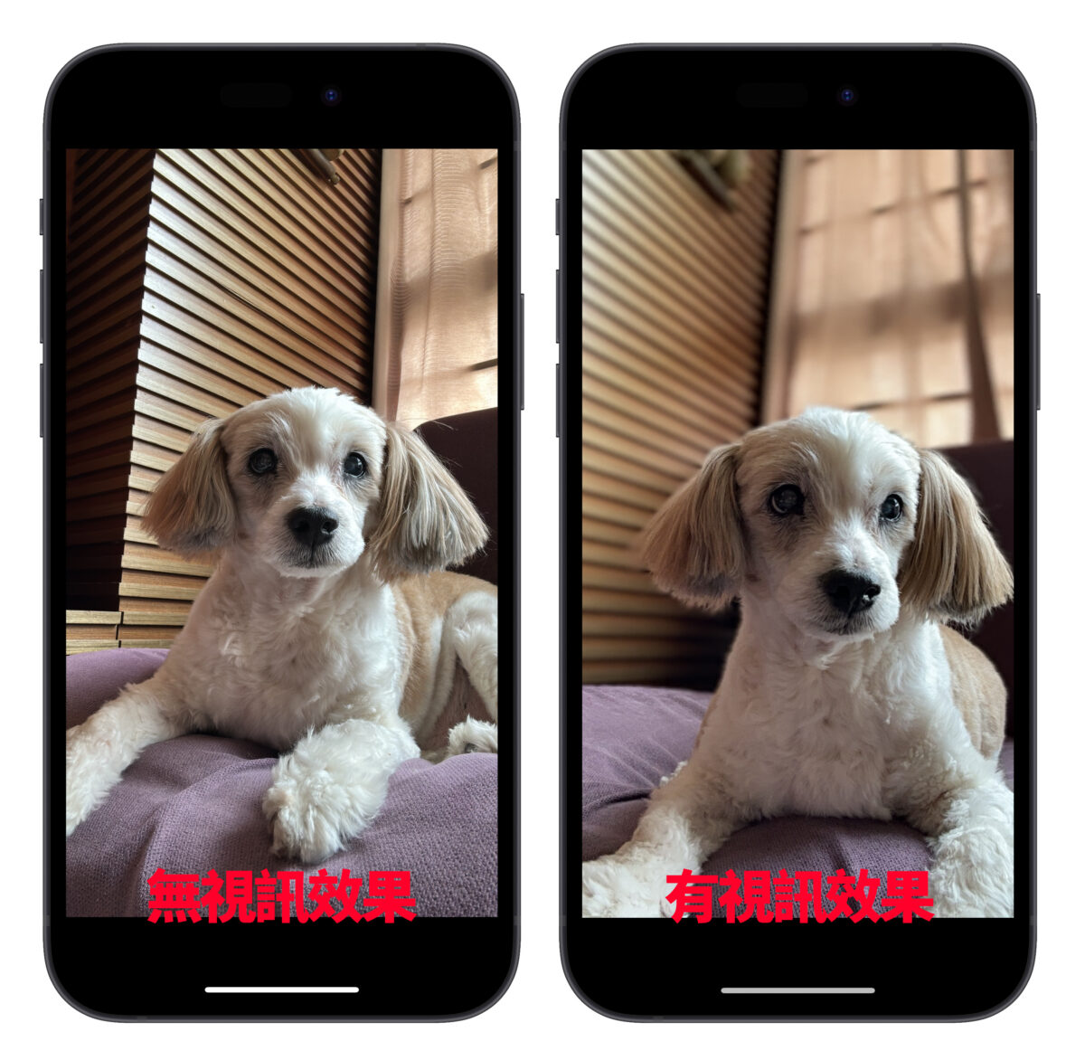 iOS iPhone 視訊效果 人像模式 人像 拍照