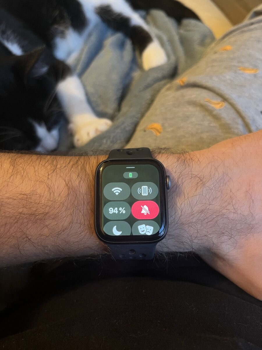 Apple Watch watchOS 9.5 watchOS 災情 更新災情