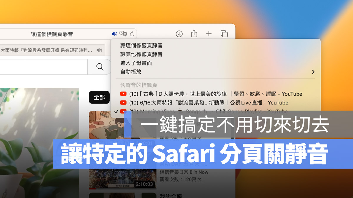Mac Safari 分頁 靜音