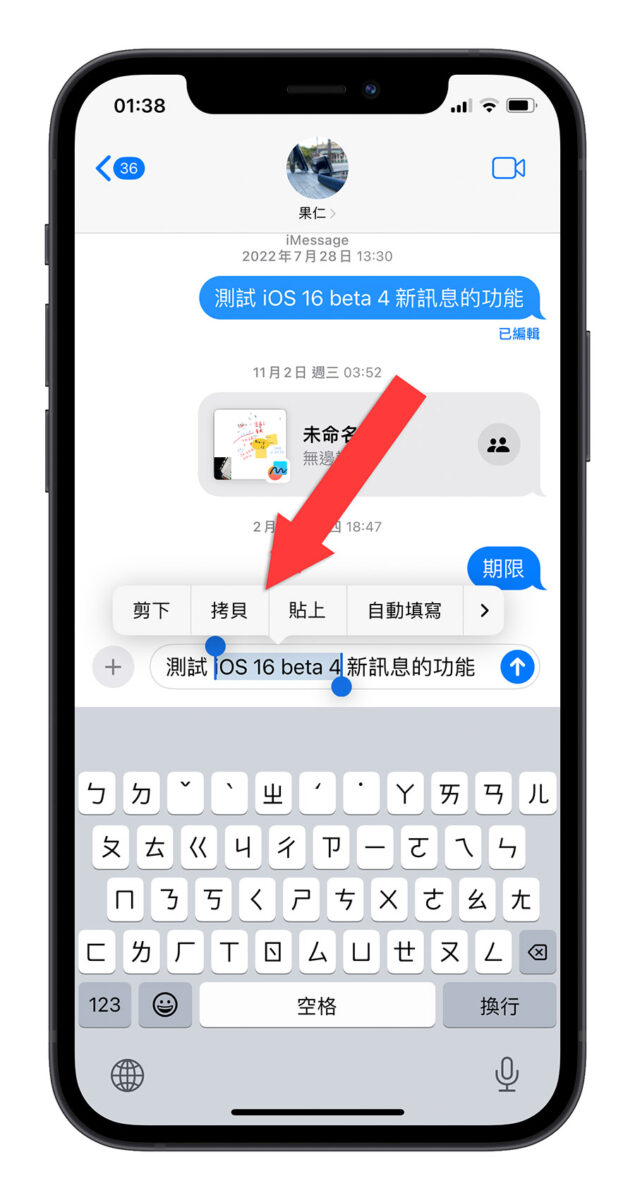 iPhone iOS iMessage 複製部分文字