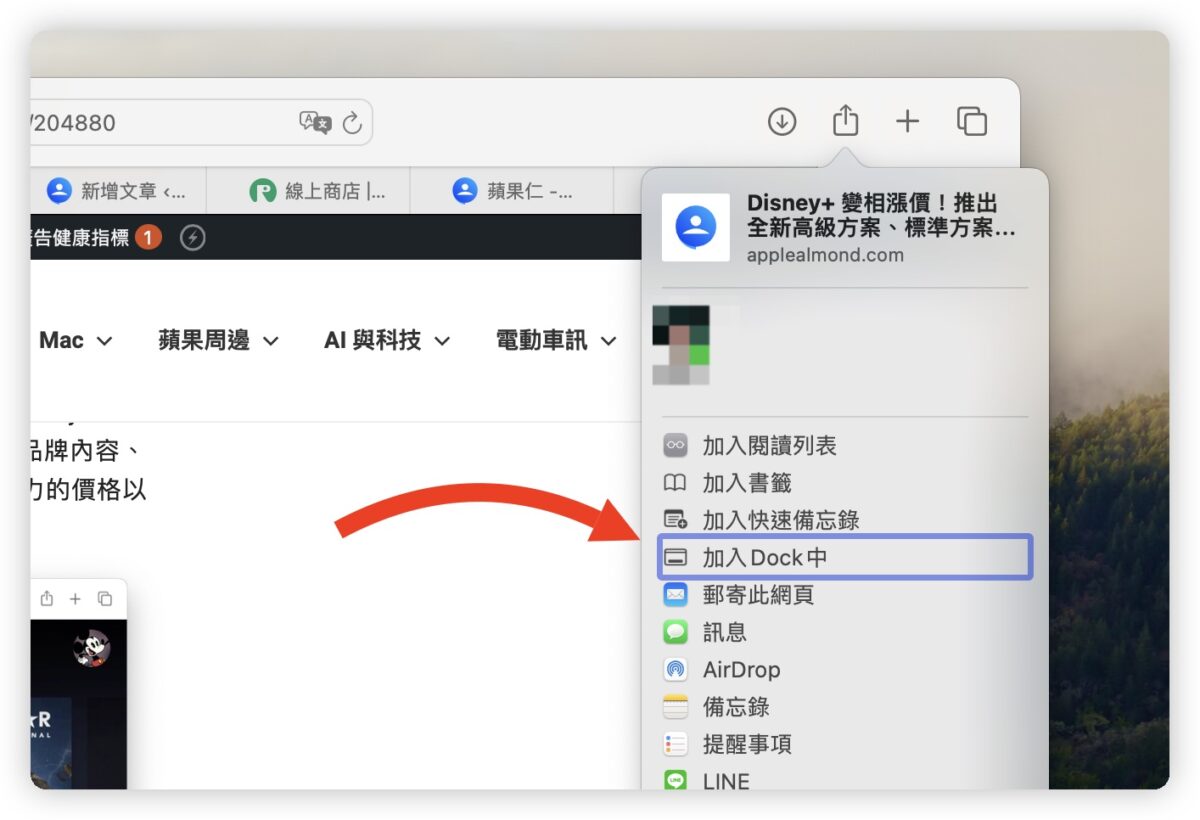 macOS 14 更新 特色 功能 Safari Dock