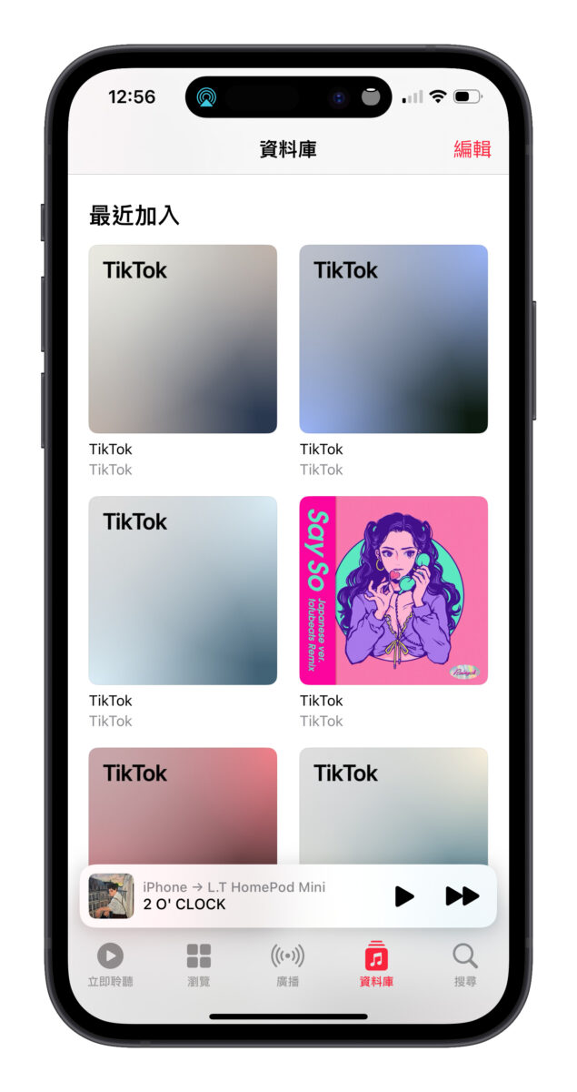 抖音 TikTok Apple Music Spotify