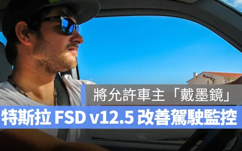 特斯拉 Tesla FSD FSD v12.5