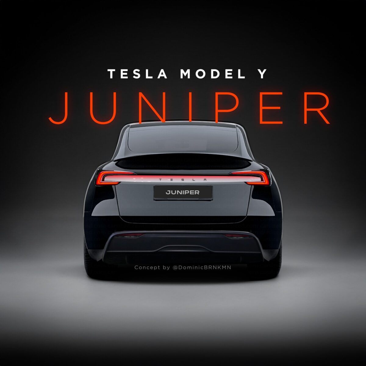 特斯拉 Tesla Model Y 改款 Model Y Model Y Juniper