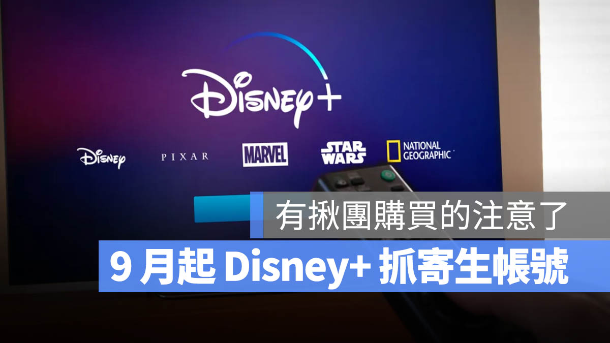 Disney+ 寄生帳號 共享密碼 串流平台 Netflix 