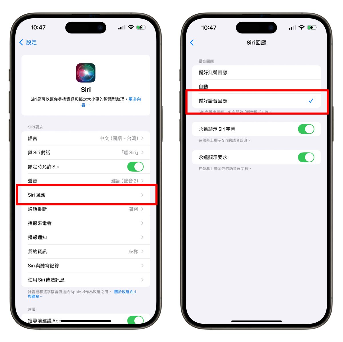 iOS iPhone iOS 18 Siri iOS 18 Siri 動畫沒變 iOS 18 Siri 不會朗讀 / 播報 iOS 18 Siri