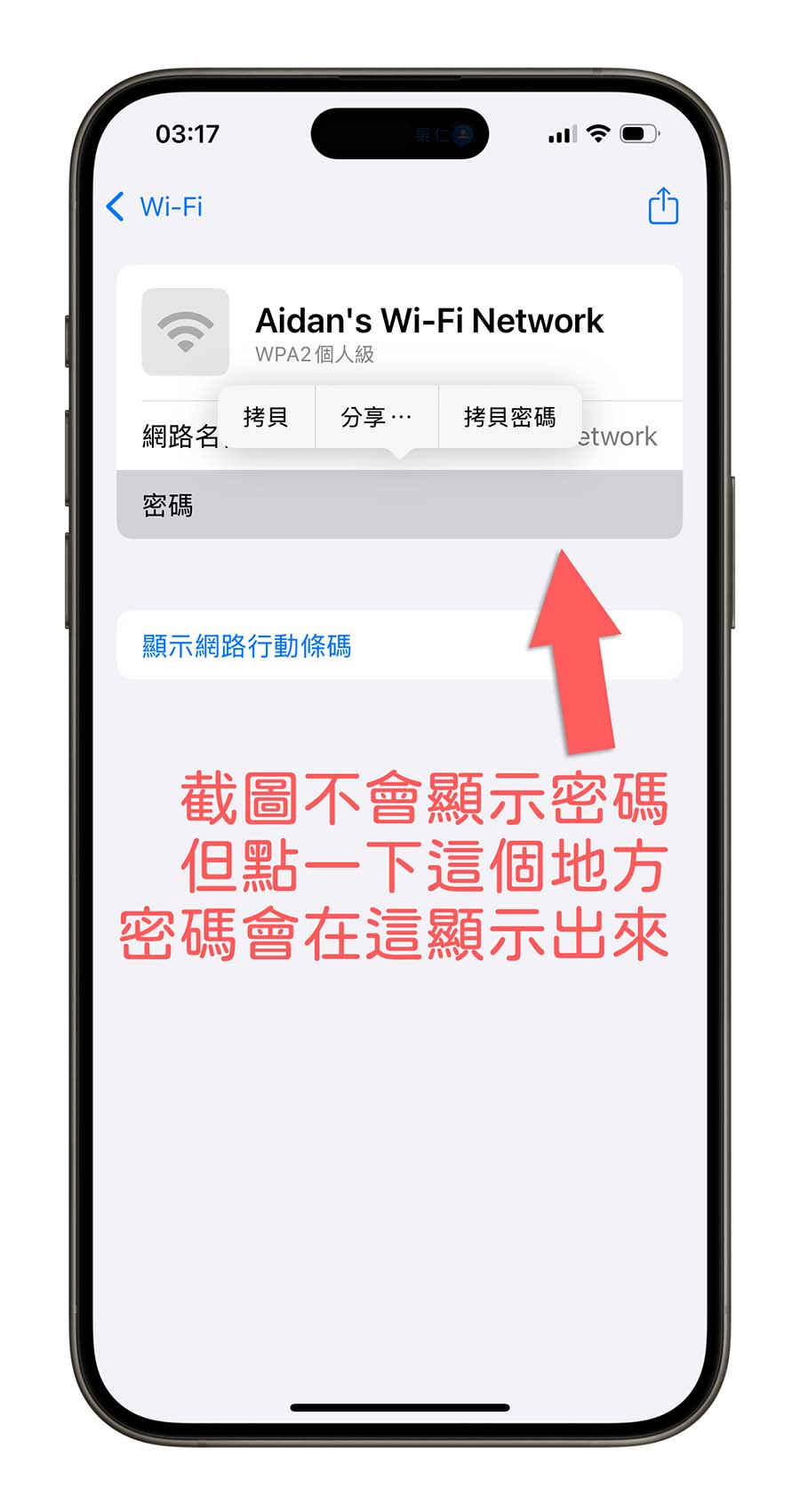 iPhone iOS 18 密碼 App