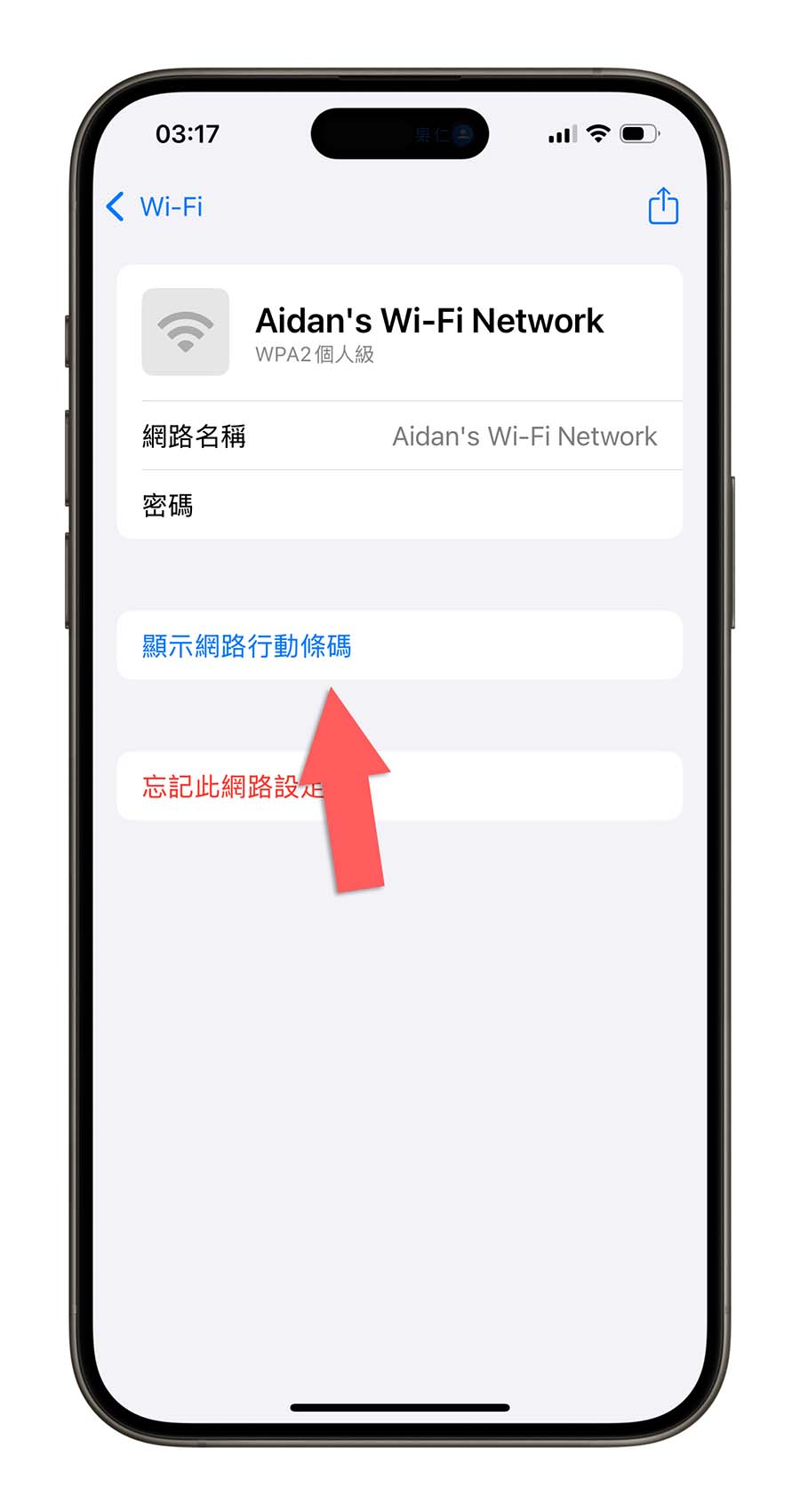 iPhone iOS 18 密碼 App