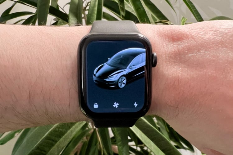 特斯拉 Tesla Apple Watch