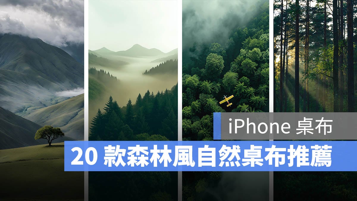 iPhone 桌布推薦 森林自然桌布