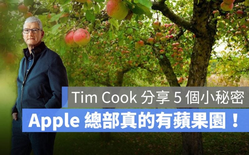 Tim Cook 專訪